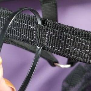 Licol flexible à rupture ThinLine, très sûr, sans frottements, large muserolle