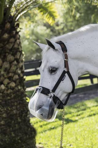 Doublures rembourr&eacute;es pour licol - Thinline