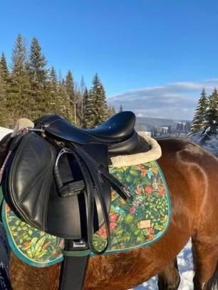 Selle CSO  à vendre