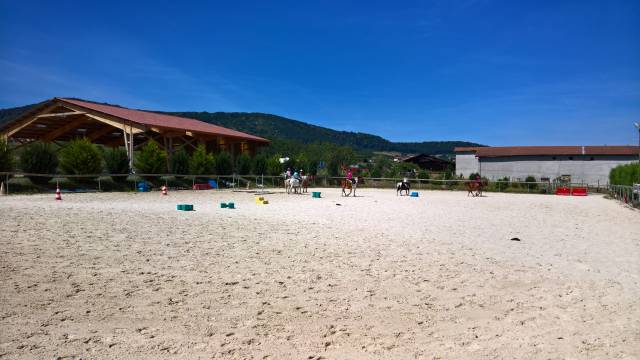 Pension pré/box ou pré, travail, école labellisée