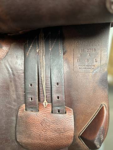 Selle obstacle Antares 