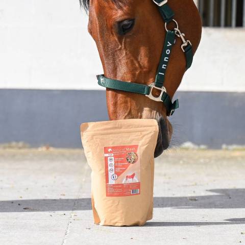 Mash pour cheval Natural'Mash - Natural'Innov