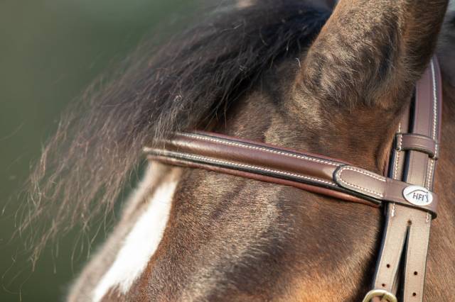 Bridon  HFI Technical cuir surpiqué