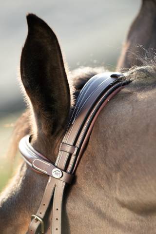 Bridon  HFI Technical cuir surpiqué