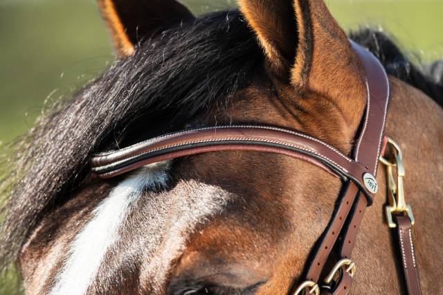 Bridon HFI Techno muserolle anatomique en Y