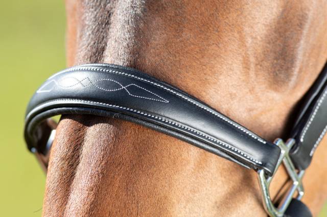 Licol de pansage HFI