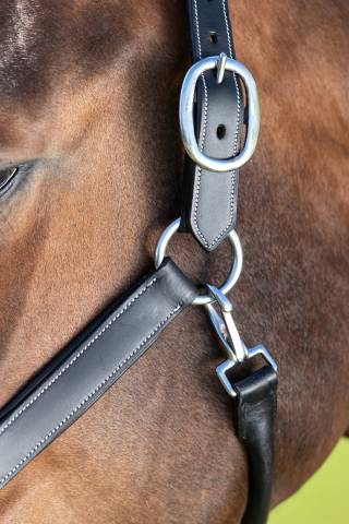 Licol de pansage HFI