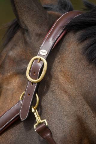 Licol de pansage HFI marron