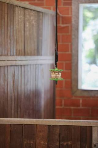 Support de pierre &agrave; l&eacute;cher Delizia&reg; - Kerbl