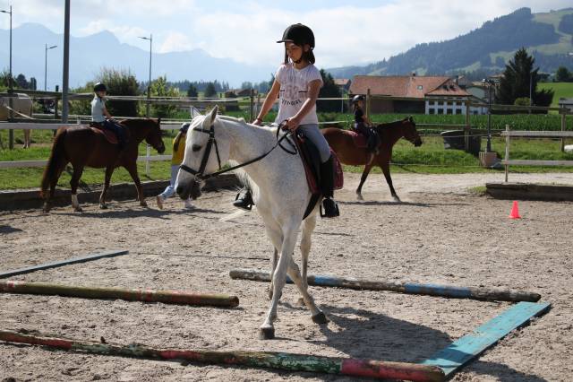 Camps d'équitation été 2025