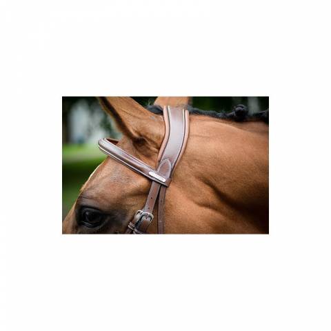 Bridon London - Collection One - Jump'in