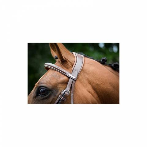 Bridon London - Collection One - Jump'in