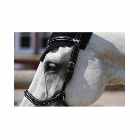 Bridon New York - Collection One - Jump'in