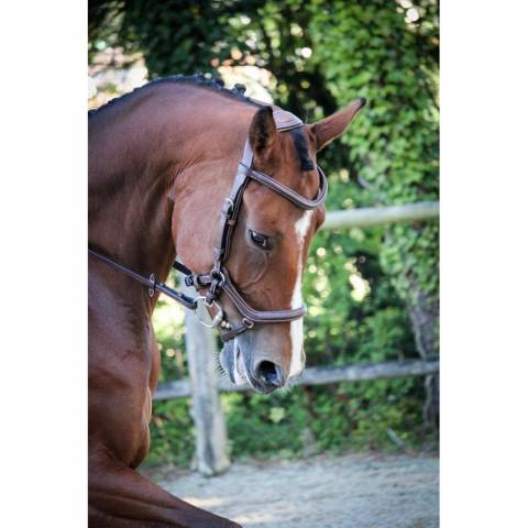 Bridon New York - Collection One - Jump'in