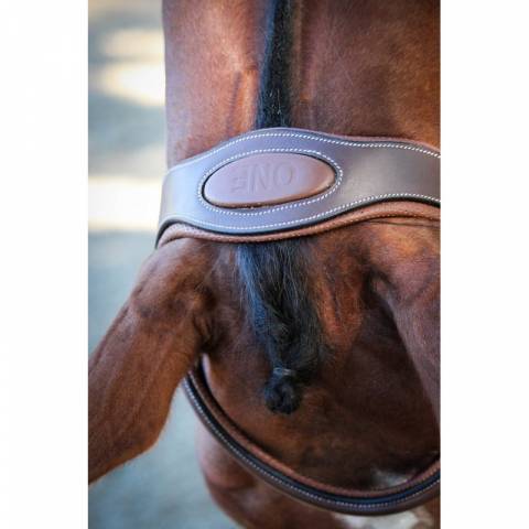 Bridon New York - Collection One - Jump'in