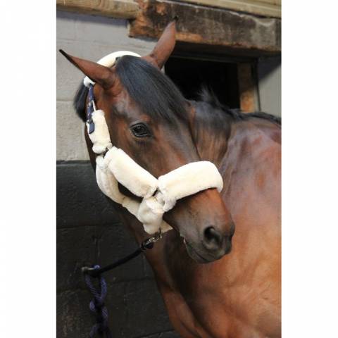 Licol Soft One - Crème