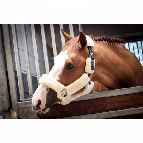 Licol Soft One - Crème