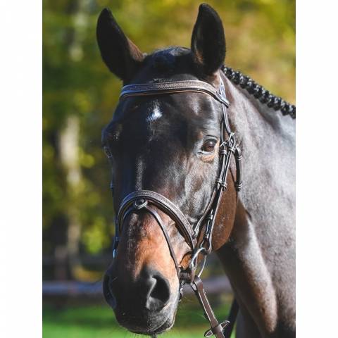 Bridon Carat - Collection One Premium - Jump'in