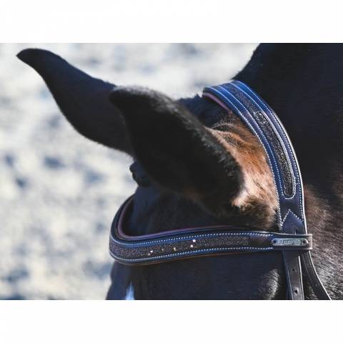 Bridon Carat - Collection One Premium - Jump'in