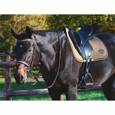 Bridon Carat - Collection One Premium - Jump'in