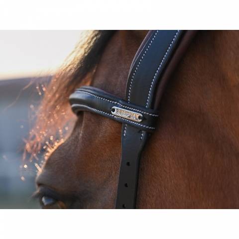 Bridon Liberty - Collection One - Jump'in