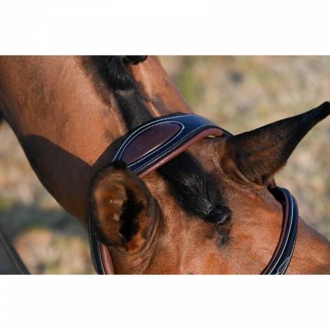 Bridon Liberty - Collection One - Jump'in