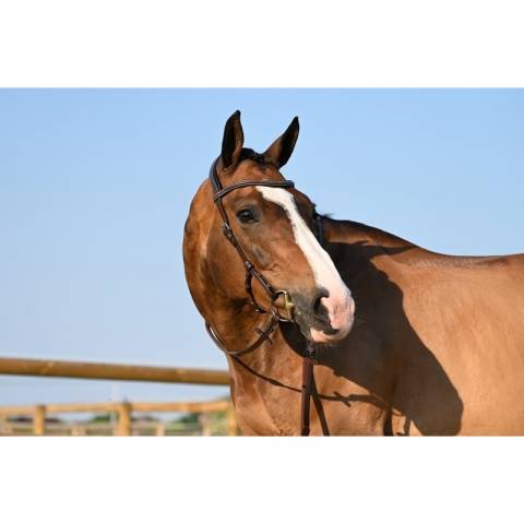 Bridon Liberty - Collection One - Jump'in