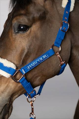 Licol et longe Harcour Holly
