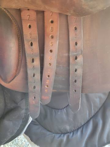 Selle Legacy mixte marron en cuir 17.5