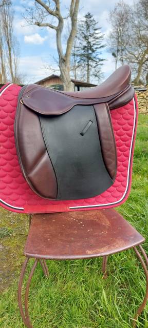 Selle cheval ou money  XXXL,
