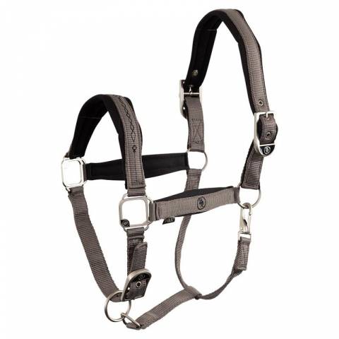 Licol Elba néoprene BR