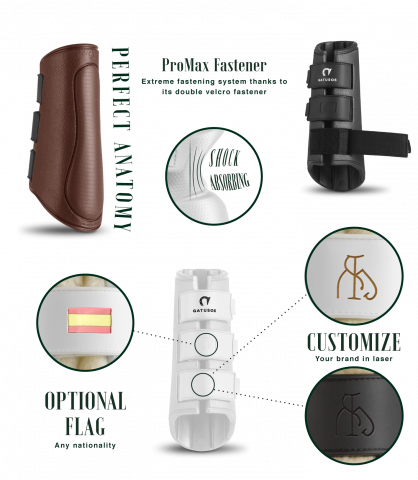 Guêtres antérieurs Royal Gatusos