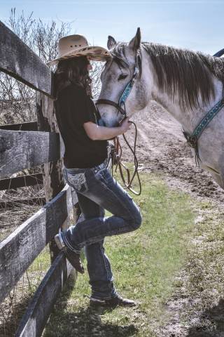 Convertisseur de bride de muserolle sans mors Thinline