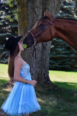 Convertisseur de bride de muserolle sans mors Thinline