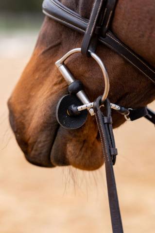 ThinLine Busy Buddy - Aide votre cheval à se relaxer