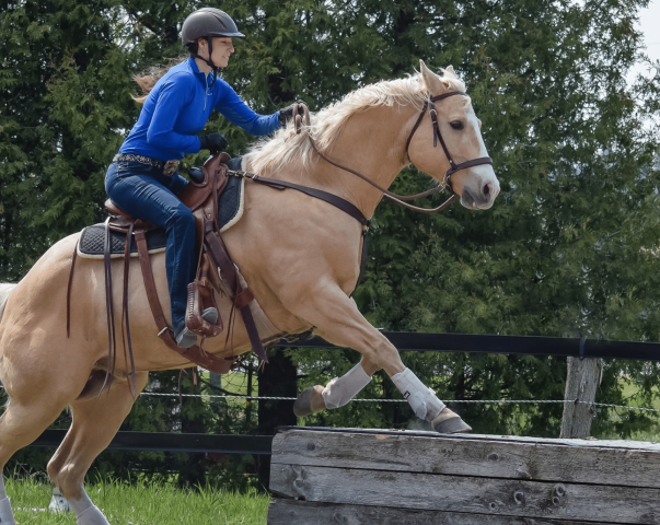 Tapis de selle Western confort en laine tissée Thiline