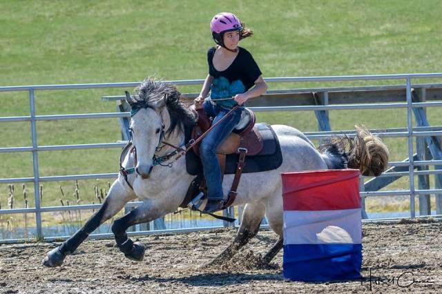 Tapis de selle Western Pro-Tech en feutre ThinLine