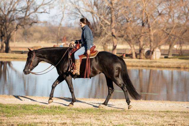 Tapis endurance mouton ciré et résistant Thinline