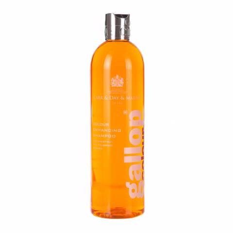 Shampoing colorant gallop - 500 ml - Carr and Day
