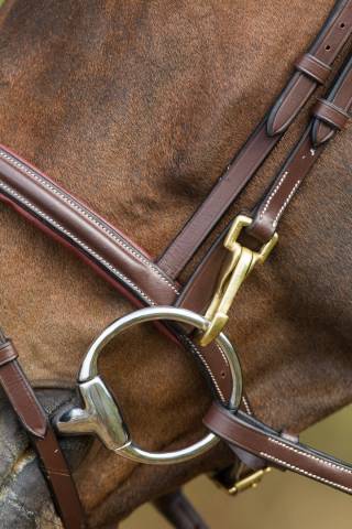 Bridon Functional HFI