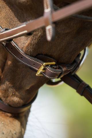 Bridon Functional HFI