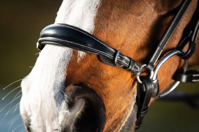 Bridon German HFI muserolle allemande