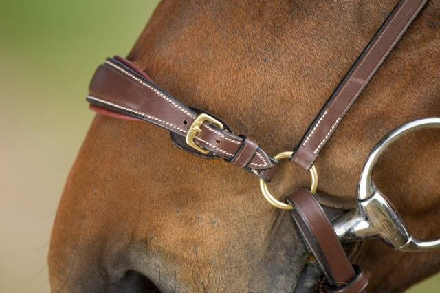 Bridon German HFI muserolle allemande