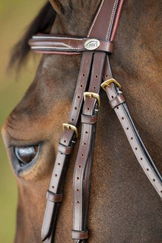 Bridon German HFI muserolle allemande