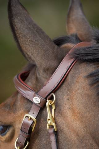 Bridon - Licol Combo HFI