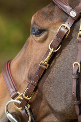 Bridon - Licol Combo HFI