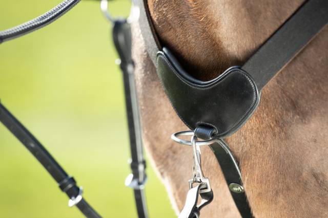 Collier de chasse 5 points HFI