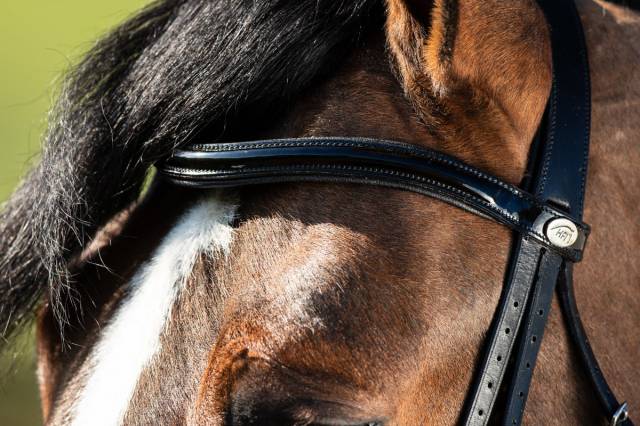 Bride de dressage Weymouth HFI