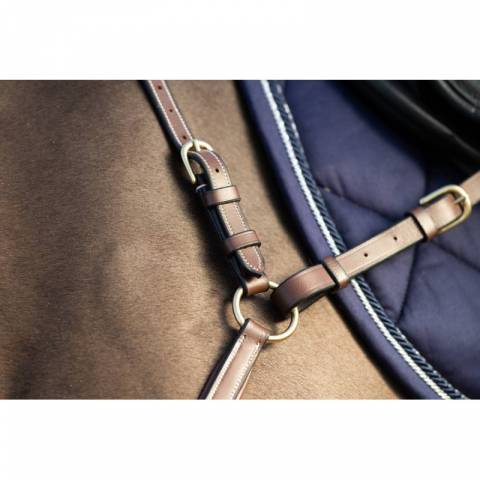 Collier de chasse Long Bridge HFI