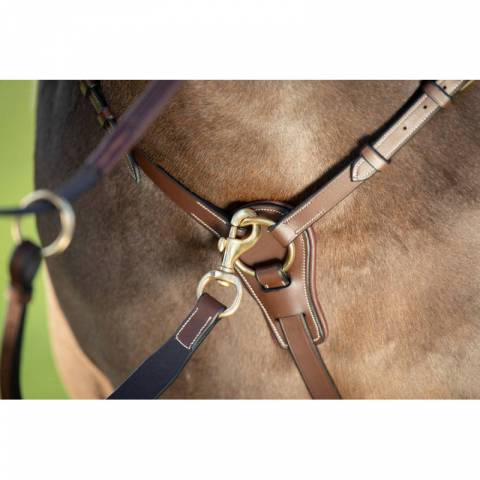 Collier de chasse Long Bridge HFI